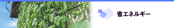 省エネルギー